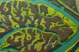 Une des vues magnifiques du Parque nacional de Donana