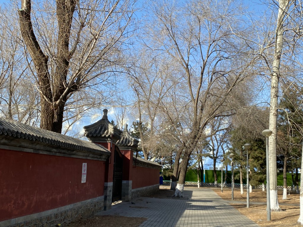 Cette image a un attribut alt vide ; le nom du fichier est img_1545.jpg